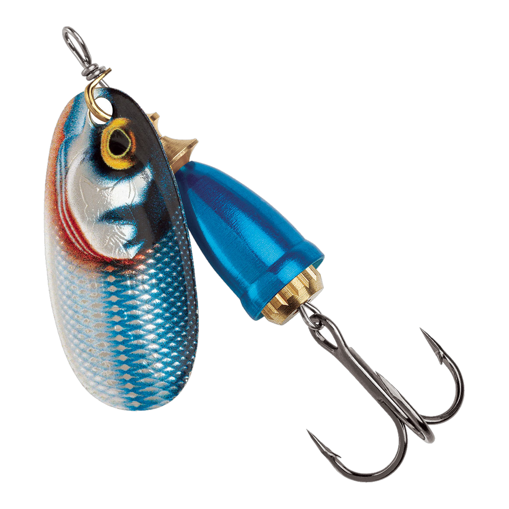 Blue Fox Classic Vibrax Spinner #00 - Gilded Blue Steel